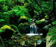 新手建站需要準備哪些材料,有哪些流程?