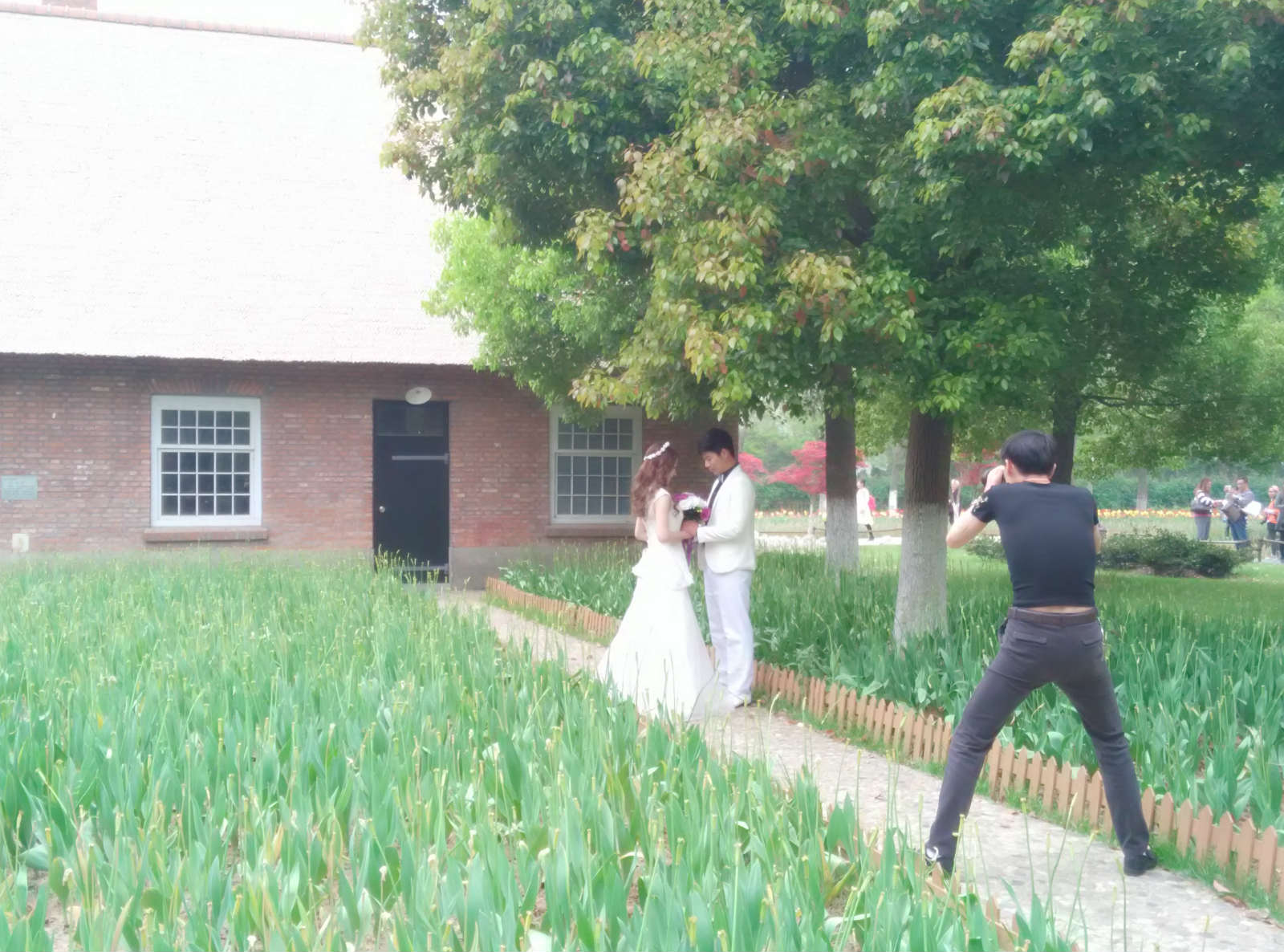 201505171431854771112837.jpg IMG_20150418_120930_meitu_1.jpg