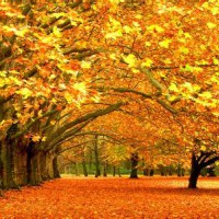 新站的優化推廣我們需要注意哪些問題?