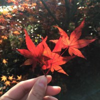 網站空間是否穩定流暢對SEO排名優化的影響有多大?