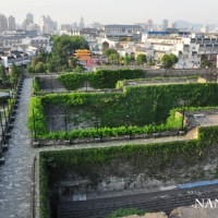 學好SEO有錢途嗎?98%看過的人都說好