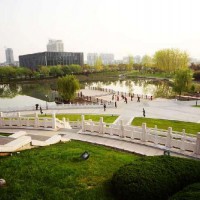 南京SEO招聘:英文SEO推廣實(shí)習(xí)生和英文SEO主管