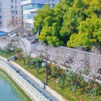 南京多條河道實現(xiàn)-清水綠岸 魚翔淺底